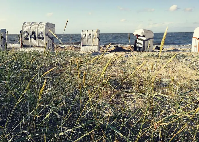 Lejlighed Lena Schillig